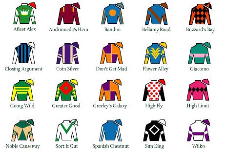 This looks similar to the racing cheat sheet I was given at the tracks in Ireland, which listed the names of horses, jockeys, and had a crude depiction of the riders' colors.