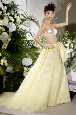 Dior F09 - bra and ballgown skirt